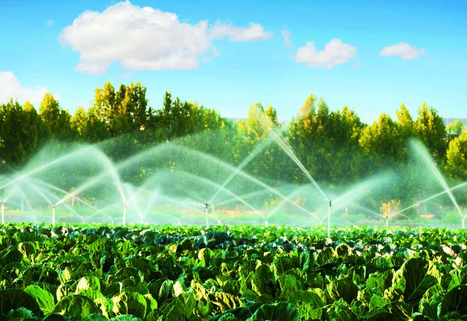 Irrigação automatizada em plantação